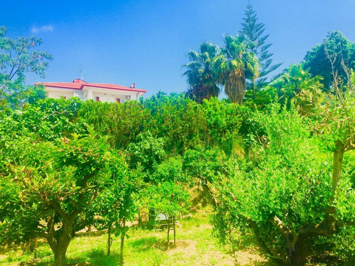 Montebianco B&B Faiano Luaran gambar